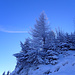 Weihnachtsstimmung