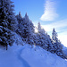 Alp Maton zu