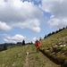 Begleitung zum Mittlerberg ...