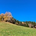 schönste Herbstimpression ...