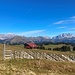 Postkartenidylle bei Güfer - mit Schesaplana, Dri Türm und Sulzfluh