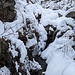 Scendiamo nel canale successivo tra due salti del torrente. Per uscire dal buco ci appenderemo ad un provvidenziale ontanello...