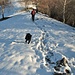 Un simpatico cane incontrato salendo si da alla pazza gioia sulla neve