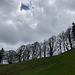 ... unter der Buchegg vorbei