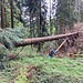 Hindernisse am Donnergrat