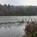 Fiume Ticino: lungo la via del ritorno nei pressi di Coarezza. 