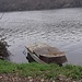 Fiume Ticino: lungo la via del ritorno in prossimità di Coarezza. 