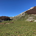 Piano della Corte - Kurz geht’s auf einer Fahrspur entlang (außerhalb des Fotos). Dann biegt der Wanderweg rechts ab und führt allmählich aufwärts (etwa in Bildmitte). Vorn traben derweil Pferde über die Wiese.