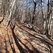Man folgt dem breiten Weg durch den Wald.