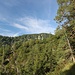 schöner Steig zum Schafelberg