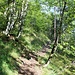 schöner Steig zum Schafelberg