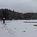 Velký Jedlovský rybník (Großer Tannteich)