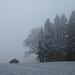 Untere Hirschalm