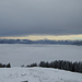 Eingeschränkter Tiefblick