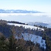 Unten hält sich der Nebel. Ausblick zum Zürichsee