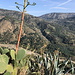  Unterwegs im Aspromonte - Ausblick in der Nähe von Bagaladi. Über typische Vegetation geht der Blick auf die andere Talseite (rechts: Santa Maria?).