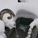 <br /> la fontana al rifugio Madonna della Neve
