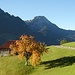 Herbstimpression beim Start auf der Route de la Forclaz