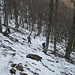 Discesa all’ombra nel bosco di faggi verso Corte Buè.