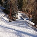 Auf der Alpstrasse gab es 2-3 cm Schnee, aber der Strassenbelag schaute da und dort hervor.