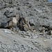 Zahlreiche Höhlen in der Südwand der Lavarella