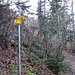 der Wanderwegweiser zeigt nach links, im großen Bogen nach oben. Rechts ist der frühere Pfad.