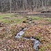 Das Schannenbacher Moor beherbergte wertvolle Reste eines ehemaligen, von Grundwasser gespeisten Niedermoors. Das heutige Hochmoor ist ein Regenmoor, das entstanden ist, weil hier das Regenwasser nicht versickern kann und sich unterhalb wasserdurchlässiger Bodenschichten in einer Mulde sammelt. 