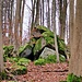 Granitformation im Wald.
