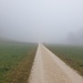 Wanderung in den Nebel auf dem Balmberg