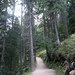 Rückweg nach Ciampedie
