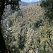 die allgegenwärtigen Treppen schlängeln sich sichtbar durch den nepalesischen Bergwald..