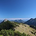 hinten das Kaisergebirge