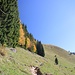 schon nach dem Waldstück bei der beginnenden Querung