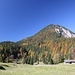 Blick hinüber zur Brecherspitze