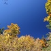 herbstlich