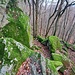 Der Wildweibchenstein ist eine weitere Felsformation aus Granitblöcken, die sich im Wald den steilen Hang hinunterzieht. 