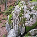 Die Felsen, die zur Flasergranitoidzone gehören, wurden bereits 1932 als Naturdenkmal geführt und sind heute als geologisches Naturdenkmal geschützt. Ebenfalls geschützt sind einige markante Eichen und Rotbuchen. 