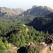 Blick vom Gipfel nach Osten auf das größte, zusammenhängende Waldgebiet der Kapverden. Für uns Mitteleuropäer ist so etwas völlig normal - Auf den Kapverden eine kleine Sensation. 