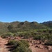 Auf der Hochebene nach dem Degollada de las Tocinas: Rechts hinten im Bild der Altavista