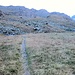 Wiese hinter der Fluhalp