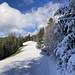 ... und dann prächtig winterlich weiter
