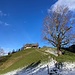 ... und wenig unterhalb definitive Rückkehr in den Frühling