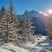 Zauberhafte Winterlandschaft im Aufstieg Richtung Alp Sura