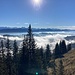 toller Blick über nahe Wolkenformationen zu den hohen Berner Gipfeln