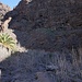 Einstieg in den Barranco Argaga 