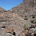 Weiter oben im Barranco wird angebaut...
