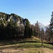 Les falaises de la Hasenmatt, très typiques de cette partie du Jura