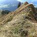 Rückblick