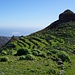 Roque del  Sombrero
