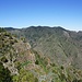 Palmensicht vom Mirador de la Laja